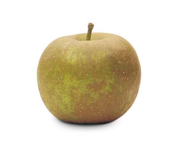 Golden Russet