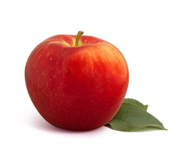 Ambrosia – Image 2